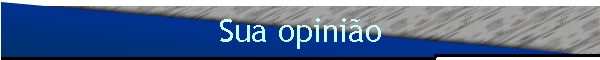 Sua opinio